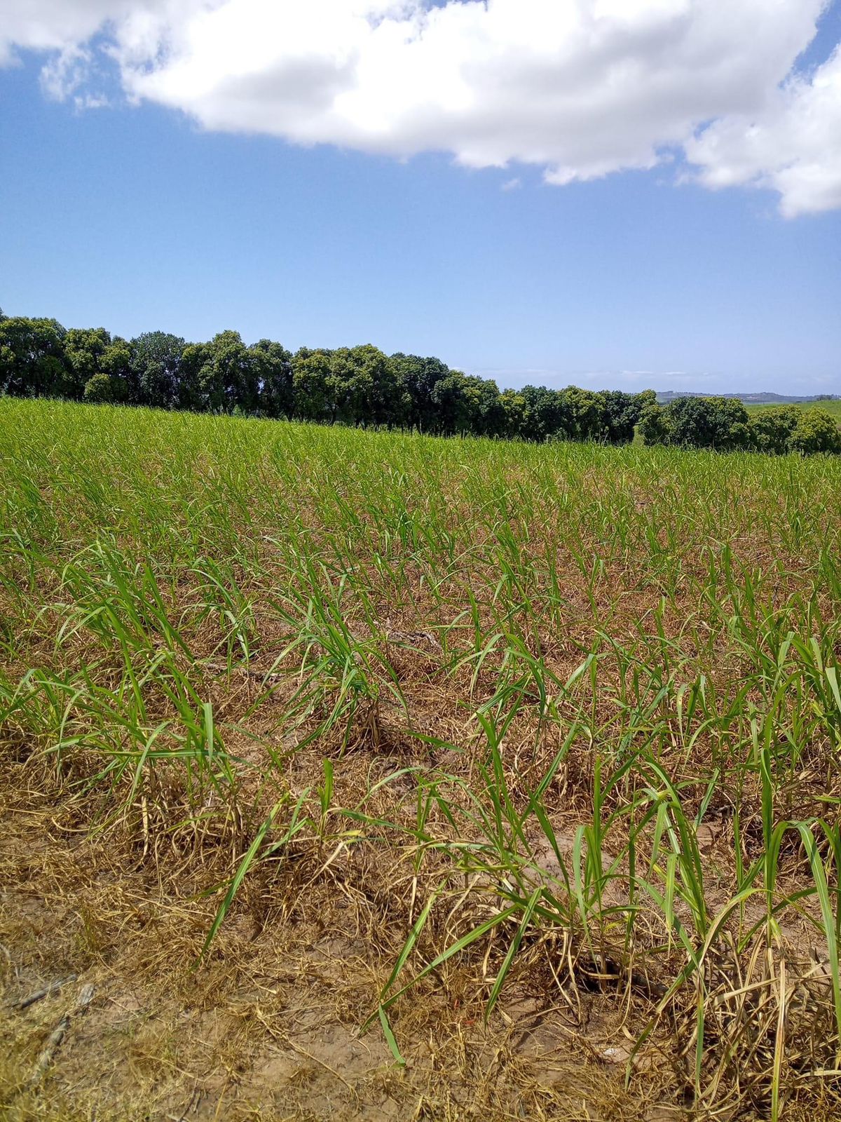 WhatsApp Image 2024-01-19 at 13.38.49 (2)