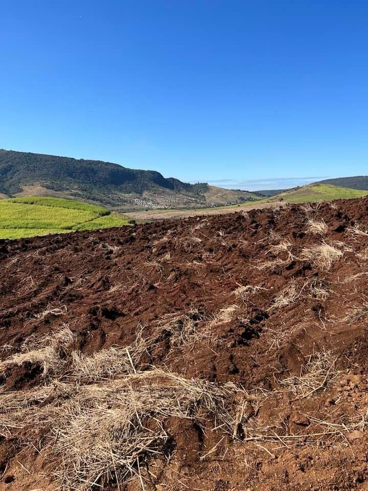 WhatsApp Image 2024-01-19 at 13.38.51 (1)