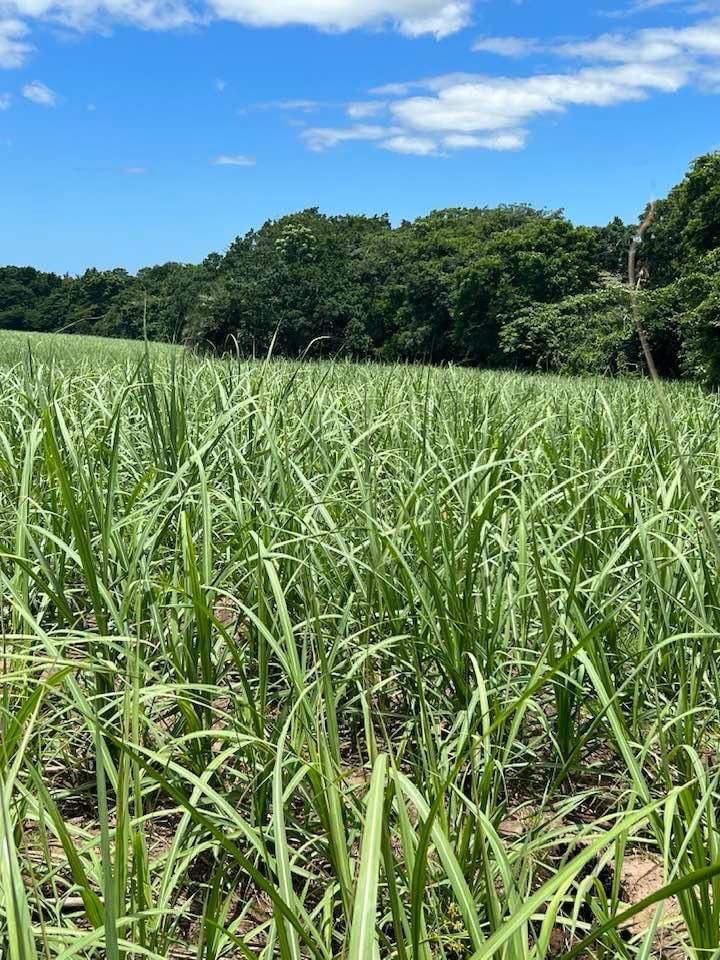 WhatsApp Image 2024-01-19 at 13.38.52