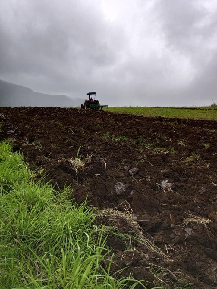 WhatsApp Image 2024-01-19 at 13.38.54