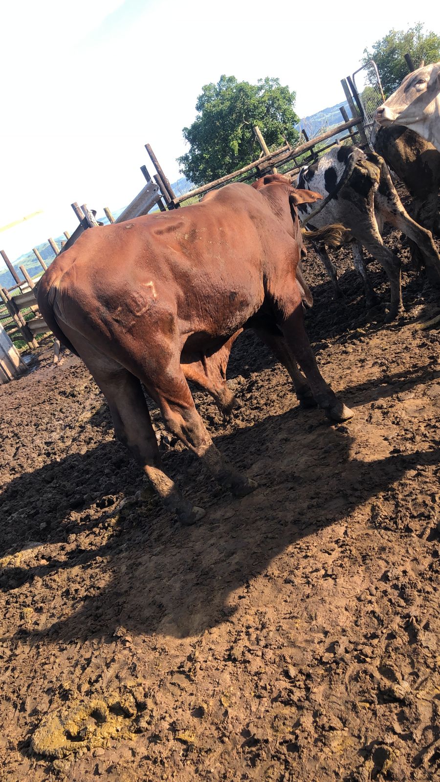 WhatsApp Image 2024-01-19 at 13.42.01 (1)