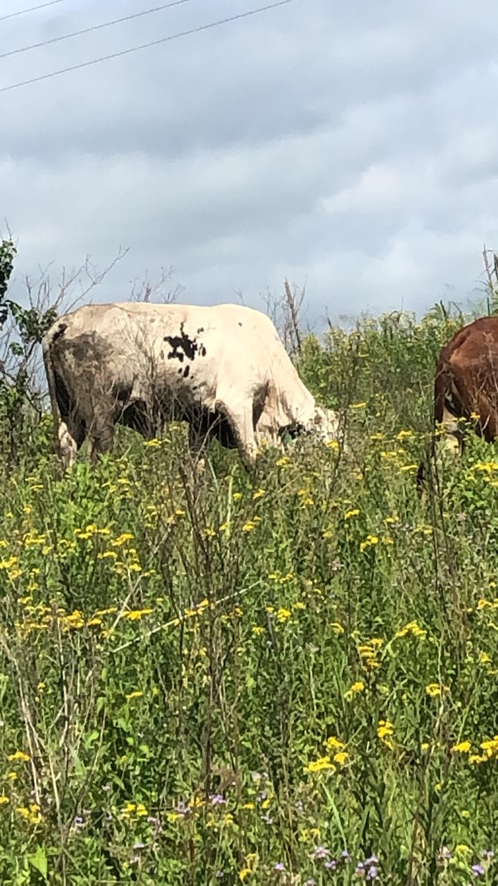 WhatsApp Image 2024-01-19 at 13.42.02 (1)